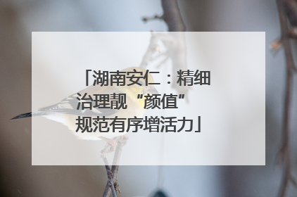 湖南安仁：精细治理靓“颜值” 规范有序增活力