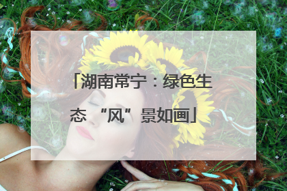 湖南常宁：绿色生态 “风”景如画