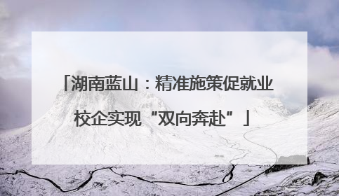 湖南蓝山：精准施策促就业 校企实现“双向奔赴”