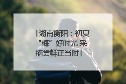 湖南衡阳：初夏“梅”好时光 采摘尝鲜正当时
