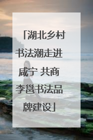 湖北乡村书法潮走进咸宁 共商李邕书法品牌建设