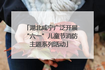 湖北咸宁广泛开展“六一”儿童节消防主题系列活动