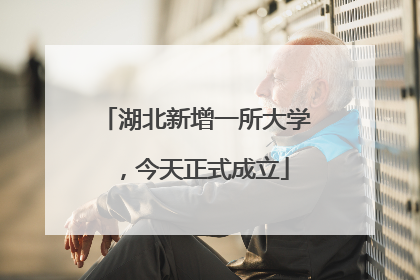 湖北新增一所大学，今天正式成立