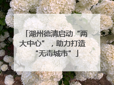 湖州德清启动“两大中心”，助力打造“无毒城市”