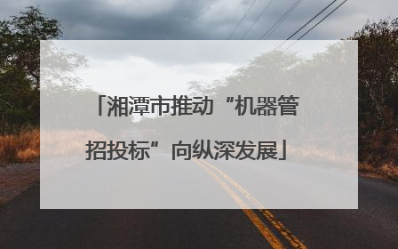 湘潭市推动“机器管招投标”向纵深发展