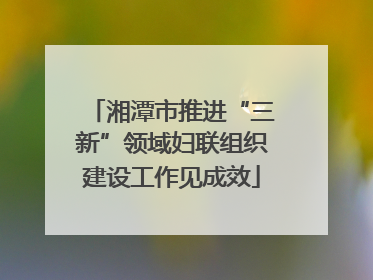 湘潭市推进“三新”领域妇联组织建设工作见成效