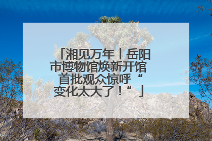 湘见万年丨岳阳市博物馆焕新开馆 首批观众惊呼“变化太大了！”