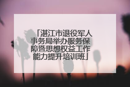 湛江市退役军人事务局举办服务保障暨思想权益工作能力提升培训班