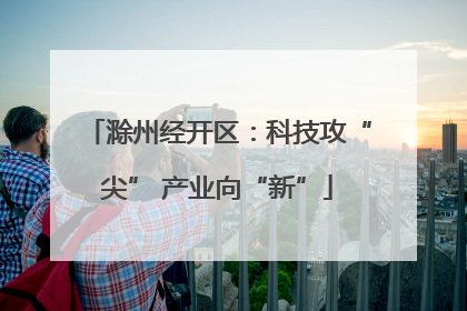 滁州经开区：科技攻“尖” 产业向“新”