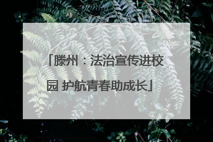 滕州：法治宣传进校园 护航青春助成长
