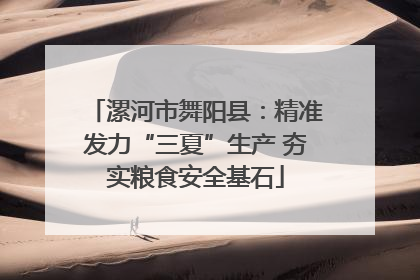 漯河市舞阳县：精准发力“三夏”生产 夯实粮食安全基石