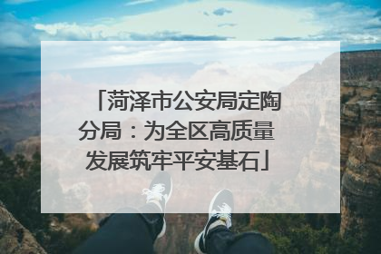 菏泽市公安局定陶分局：为全区高质量发展筑牢平安基石