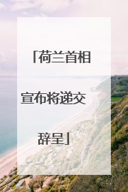 荷兰首相宣布将递交辞呈