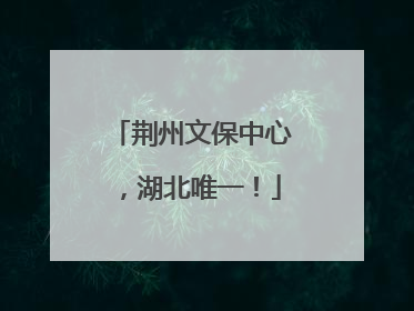 荆州文保中心，湖北唯一！