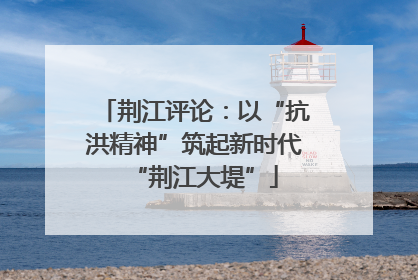荆江评论：以“抗洪精神”筑起新时代“荆江大堤”