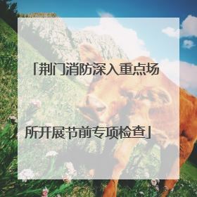 荆门消防深入重点场所开展节前专项检查