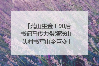 荒山生金！90后书记马传力带领张山头村书写山乡巨变