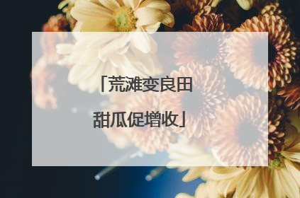 荒滩变良田 甜瓜促增收
