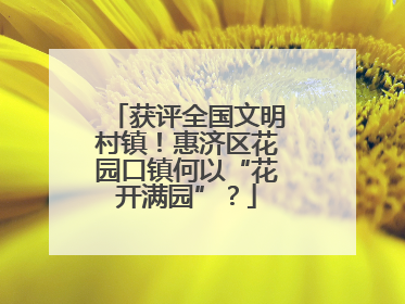 获评全国文明村镇！惠济区花园口镇何以“花开满园”？