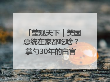 莹观天下｜美国总统在家都吃啥？掌勺30年的白宫主厨告诉你