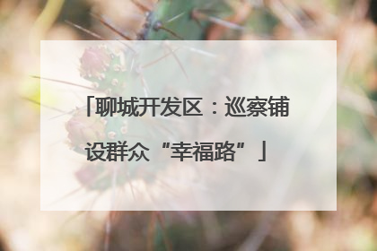 聊城开发区：巡察铺设群众“幸福路”