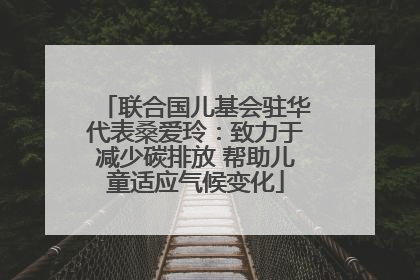 联合国儿基会驻华代表桑爱玲：致力于减少碳排放 帮助儿童适应气候变化