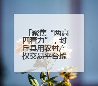 聚焦“两高四着力”，封丘县用农村产权交易平台撬动“大治理”