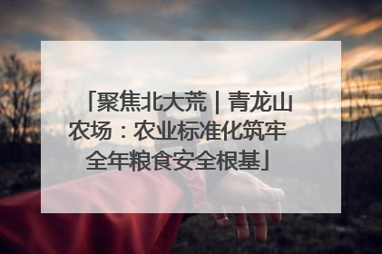 聚焦北大荒｜青龙山农场：农业标准化筑牢全年粮食安全根基