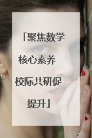 聚焦数学核心素养 校际共研促提升