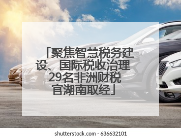 聚焦智慧税务建设、国际税收治理 29名非洲财税官湖南取经
