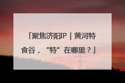 聚焦济阳IP｜黄河特食谷，“特”在哪里？
