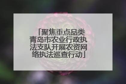 聚焦重点品类 青岛市农业行政执法支队开展农资网络执法巡查行动