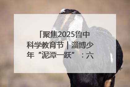 聚焦2025鲁中科学教育节｜淄博少年“泥潭一跃”：六一节里的勇气勋章