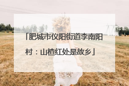 肥城市仪阳街道李南阳村：山楂红处是故乡