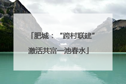 肥城：“跨村联建”激活共富一池春水