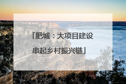 肥城：大项目建设串起乡村振兴链