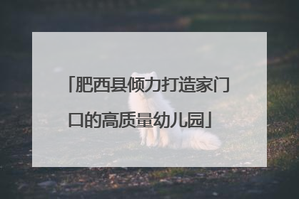 肥西县倾力打造家门口的高质量幼儿园