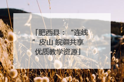 肥西县：“连线”皮山 皖疆共享优质教学资源