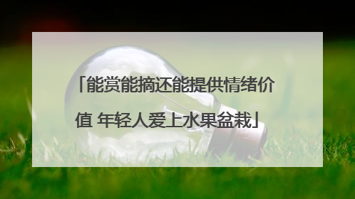 能赏能摘还能提供情绪价值 年轻人爱上水果盆栽