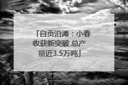 自贡沿滩：小春收获新突破 总产量近3.5万吨