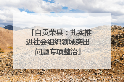 自贡荣县：扎实推进社会组织领域突出问题专项整治