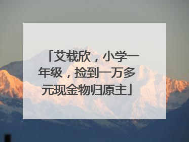 艾载欣，小学一年级，捡到一万多元现金物归原主