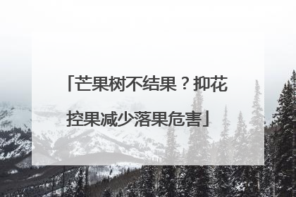 芒果树不结果？抑花控果减少落果危害