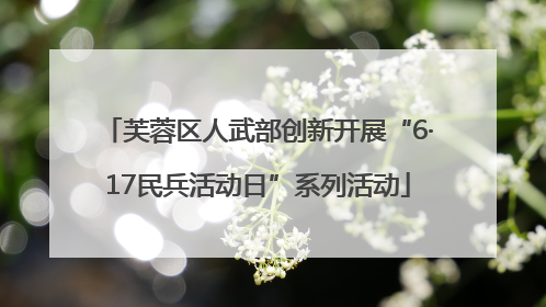 芙蓉区人武部创新开展“6·17民兵活动日”系列活动