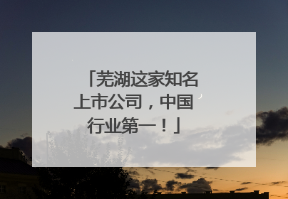 芜湖这家知名上市公司，中国行业第一！