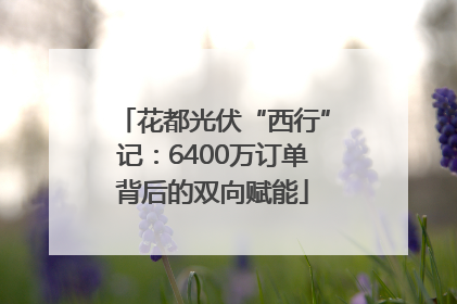 花都光伏“西行”记：6400万订单背后的双向赋能
