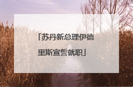 苏丹新总理伊德里斯宣誓就职