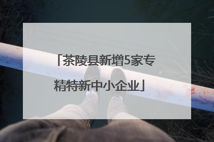 茶陵县新增5家专精特新中小企业
