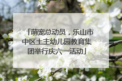 萌宠总动员，乐山市中区土主幼儿园教育集团举行庆六一活动