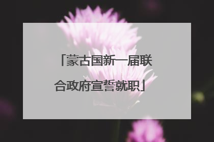 蒙古国新一届联合政府宣誓就职